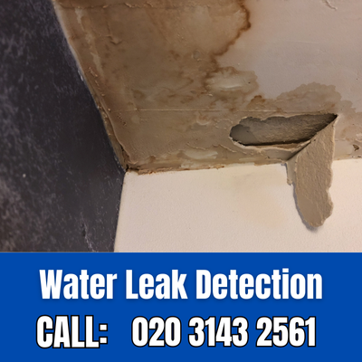 Expert Water Leak Detection Services in Bloomsbury | Bloomsbury Leak Detection